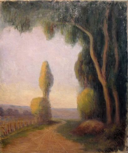 Frederic Samuel CORDEY (1854-1911) La route aux grands arbres

Huile sur toile signée...