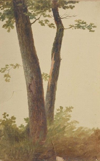 null Ecole Néoclassique

Etude d’arbres 

Huile sur papier. 

48 x 31 cm 

(Déch...