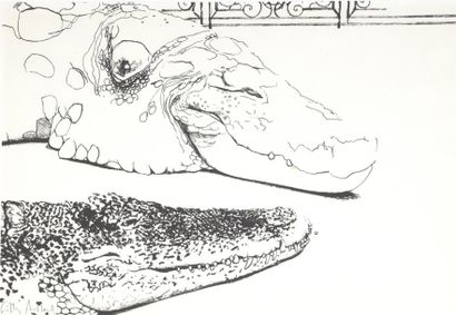 null Gilles AILLAUD (1928-2005)

Crocodiles

Lithographie signée en bas à gauche.

A...