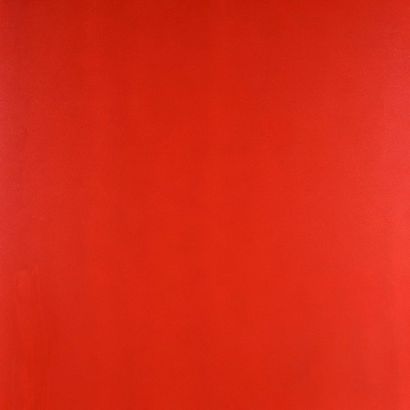 null Raphaël JULLIARD (né en 1979)
MONOCHROME CHINA - 2005
Acrylique sur toile
Porte...