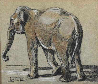 CH. PIOT

ELEPHANT

Pastel sur papier

Signé...