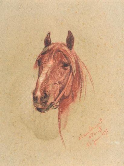  Armand POINT (1860-1932) Etude de cheval Dessin, signé, daté 22 juin 1891 et dédicacé...