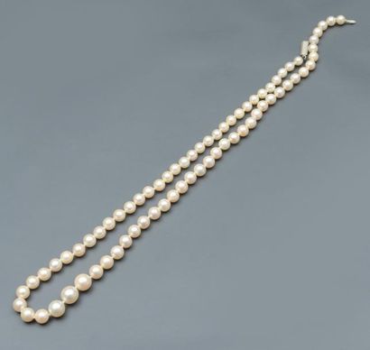 Un collier de perles fines, composé de 123...