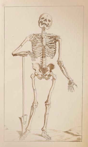 null Ecole FRANCAISE du XIXème siècle

Album contenant quinze dessins d’anatomie

Crayon...