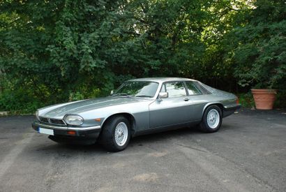 null JAGUAR XJS Coupé V12 - 1987 
Française d’origine livrée par la Franco Britannic....