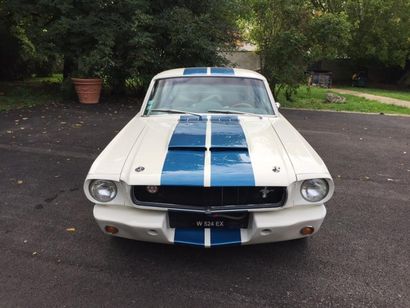 null FORD Mustang Fastback configuration Shelby Gt350R – 1965
Importante restauration...