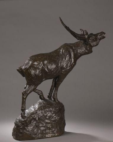 null Maurice PROST (1894- 1967)
Cerf bramant
Bronze à patine brun clair.
Signé M....