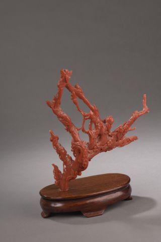 null Groupe en corail de couleur rouge-orangée, sculpté d’oiseaux dans des branchages....