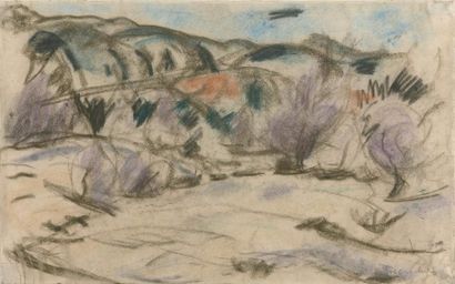 null Willy EISENSCHITZ (1889-1974)
Paysage de montagne
Pastel, signé en bas à droite.
Petites...