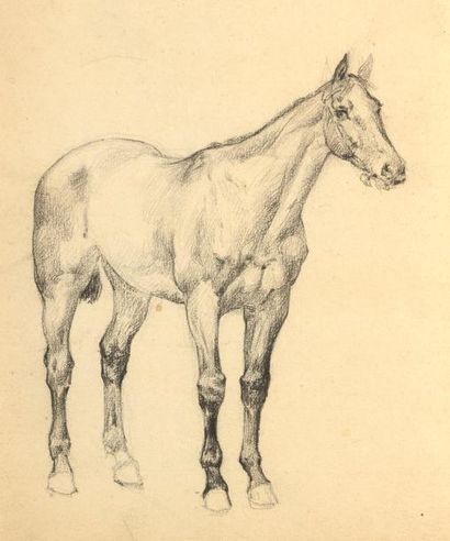 null Paul TAVERNIER (1852-1943)
LOT DE 5 DESSINS AU CRAYON : Chevaux (2), Jockey...