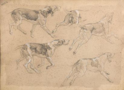 null Paul TAVERNIER (1852-1943)
Etudes de chiens de chasse.
Fusain et rehauts de...