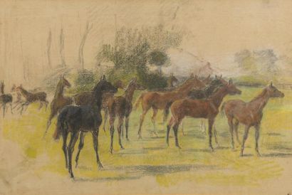 null Paul TAVERNIER (1852-1943)
Les poulains
Pastel et fusain.
Non signé.
30 x 44...