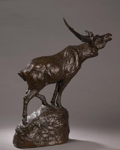 Maurice PROST (1894-1967)
Cerf bramant
Bronze...