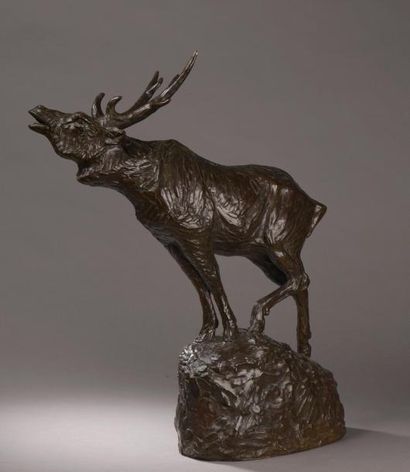 null Maurice PROST (1894-1967)
Cerf bramant
Bronze à patine brun clair.
Signé M....