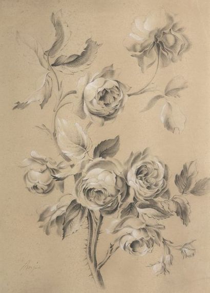 null Antoine BERJON (Lyon 1754-1843)


Branches de rosier


Pierre noire et rehauts...