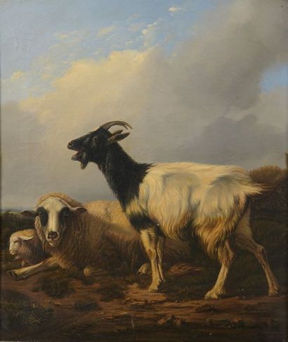 null Entourage d’Eugène VERBOECKHOVEN (1798-1889)


La chèvre


Huile sur toile.


53...