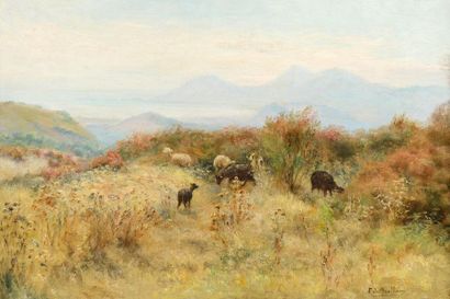 null François Richard DE MONTHOLON (1856-1940)
Paysage aux chèvres
Huile sur toile...
