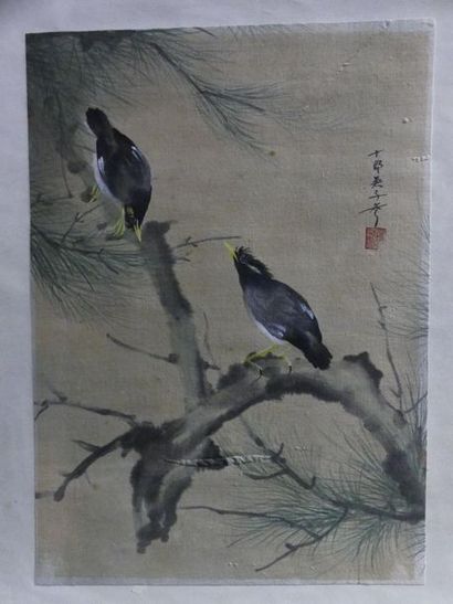null Ensemble de deux peintures figurant des oiseaux sur des branches fleuries, encadrées...
