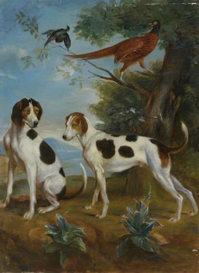 null D'après François DESPORTES (1661-1743)
Pompée et Florissant chiens de Louis...