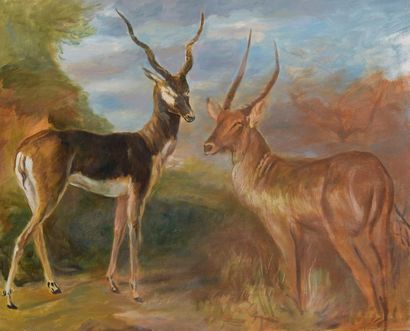 null Atelier Dagher
Deux antilopes
Huile sur toile. 
65 x 81 cm
Cachet au dos "Atelier...
