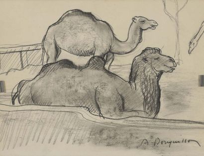 null Albert BOUQUILLON (1908-1997)


Lot de 3 dessins


Au zoo





- Otaries : Pierre...