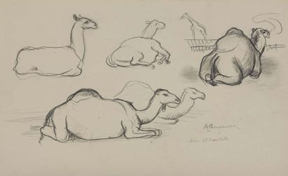 null Albert BOUQUILLON (1908-1997)


Lot de 6 dessins (un dessin recto – verso)





-...