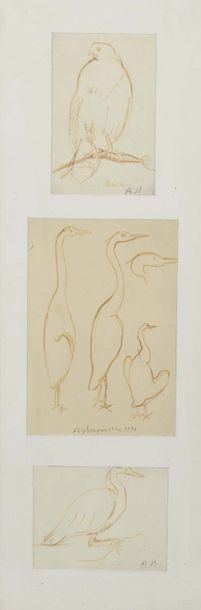 null Albert BOUQUILLON (1908-1997)


Lot de 3 dessins


Volatiles, 1972


Feutre


Signé...