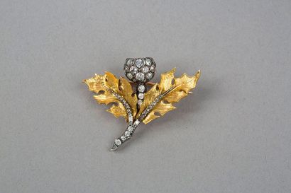 null Broche en or jaune 9k 375‰ et argent, 2nd titre 800‰, à décor de chardon. Epingle...