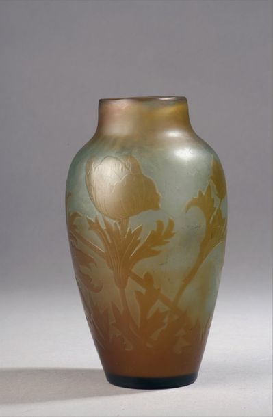 null GALLÉ Émile (1846-1904) (Établissement)


	Vase fusiforme à épaulement renflé....