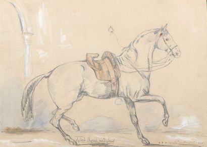 null Ernest de MONTFORT (Actif au XIXème siècle)


Un cheval andalou


Crayon noir,...