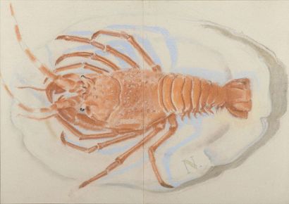 null *William NICHOLSON (1872-1949)


The lobster 


Pastel sur papier peint granuleux.


Monogrammé...