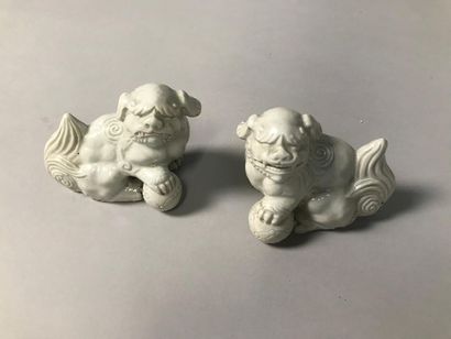 null CHINE
Paire de chiens de fô en porcelaine blanche
9,5 x 12 x 8 cm