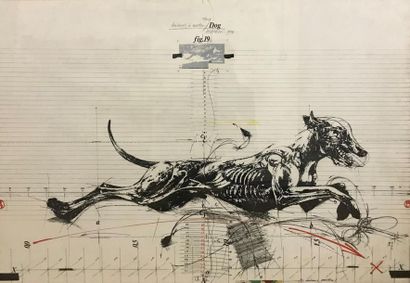null VLADIMIR VELICKOVIC (1935)
Etude de chien, « Animal in motion »
Lithographie...