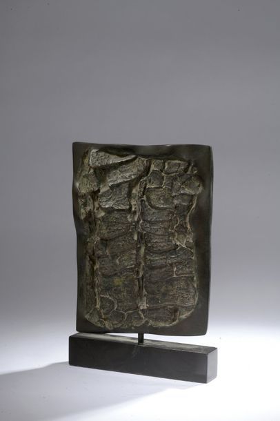 Félix SCHIVO (1924-2006) 

ÉCORCES, 1974


Relief en bronze à patine brun-vert nuancé,...