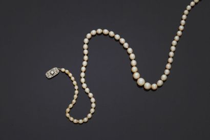 null Collier de perles de culture, fermoir en platine, 900‰, serti de petits diamants.


Poids...