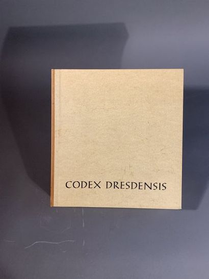 null CODEX DRESDENSIS (conservé au Sächsische Landesbibliothek Dresden) 


Codices...