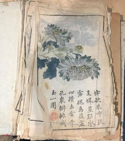 null Lot comprenant un recueil de médecine chinoise, un album de motifs floraux et...