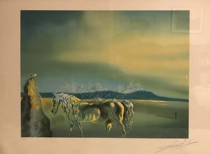 null Salvador DALI (1904 -1989)
Le cheval
Lithographie sur papier, signé en bas à...