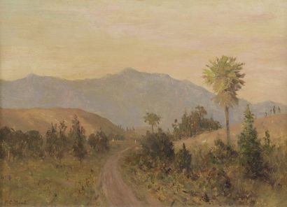 James Craig NICOLL (1846-1918)


Paysage...