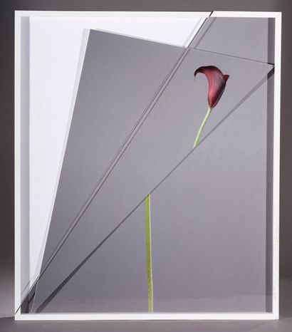 null Etienne CHAMBAUD (né en 1980)


Blade portraits, 2012


Report photographique...