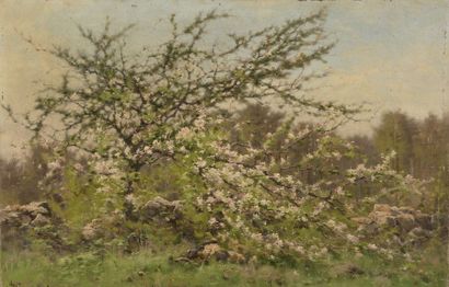 null Jean-Charles GEORGET (1833-1895)


Arbre en fleurs


Huile sur toile.


Signée...