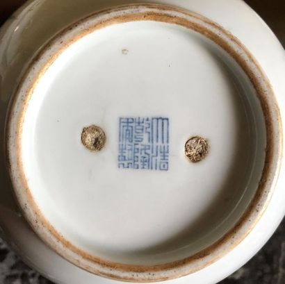 null CHINE
Pot couvert en porcelaine à décor de pivoines et volatiles
(accidents...