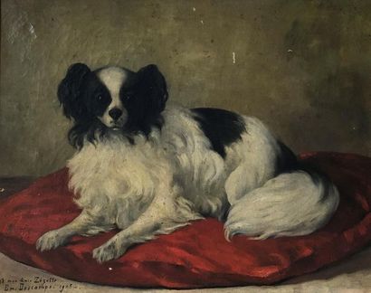 null DESCAMPS (XXème siècle)
Portrait de chien au coussin rouge
Huile sur toile,...