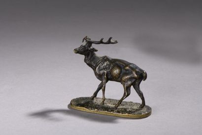 null Pierre-Jules Mêne (1810-1879) 
Cerf 
Bronze à patine brun clair 
Signé : « P...