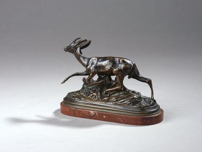 null Rosa Bonheur (1822-1899)
Antilope 
Bronze à patine brune
Signé « ROSA BONHEUR...