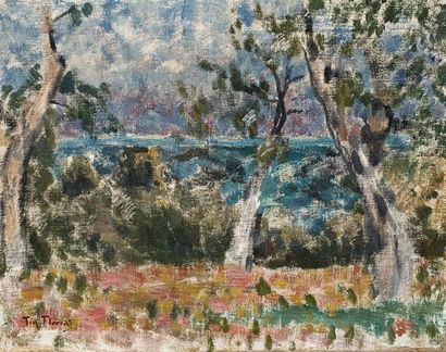 null Tin FLORIAS (1897-1969)
Petit paysage à Corfou et portrait d'homme.
Deux huiles...