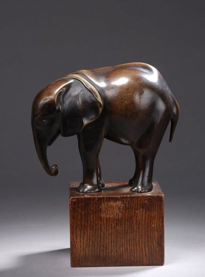 Armand PETERSEN (1891-1969)


Éléphant d’Afrique,...