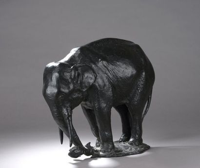 null Gustave Adolphe HIERHOLTZ (1877-1948)


Éléphant arrachant une souche, 1932


Épreuve...