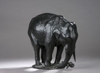 null Gustave Adolphe HIERHOLTZ (1877-1948)


Éléphant arrachant une souche, 1932


Épreuve...