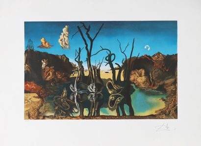  Salvador DALI (1904-1989) Cygnes se reflétant en éléphant Lithographie en couleur... Gazette Drouot